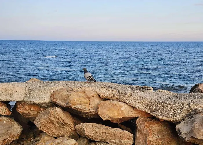 Appartement Donatella Flat Am *